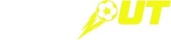 Notout logo - Notout